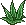 Panacea Herb