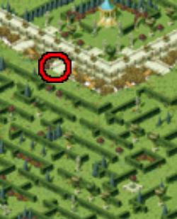Rose Field 2 - Maze of Black Rose