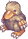 Shadow Golden Mole