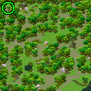 Swamp Field 3 - Maze of Forest