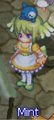 Mint - Equipment exchange NPC in each town; get town sets with this NPC using specific quest rewards (i.e. Caballa Slates, Mermaid Scales, Spirit Marbles, etc.) based on the town.