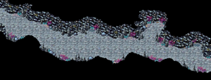 Coral Beach Dark Cave.png