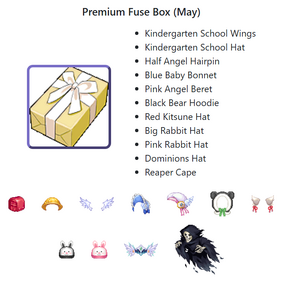 Premiumfuseboxmay.png